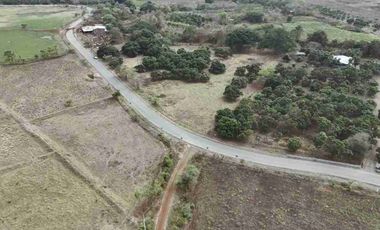 Hacienda de 123 Ha ' - Apta Para Agricultura y Ganadería - Crédito Banecuador 7x7 - 18 Km Via Guayaquil Nobol