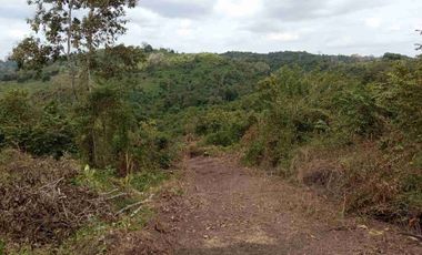 Hacienda de 123 Ha ' - Apta Para Agricultura y Ganadería - Crédito Banecuador 7x7 - 18 Km Via Guayaquil Nobol