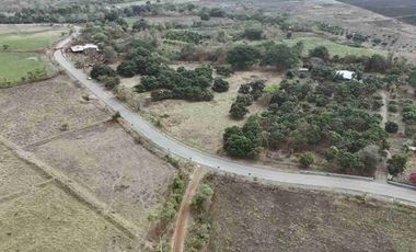 Hacienda de 123 Ha ' - Apta Para Agricultura y Ganadería - Crédito Banecuador 7x7 - 18 Km Via Guayaquil Nobol