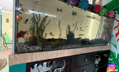 SE VENDE CASA C. COLINAS DE IGUA  (NEIVA - HUILA)