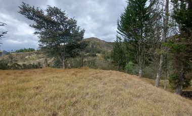 Lotes de venta en Challuabamba sector apangoras espectacular vista clima templado Exc. Barrio