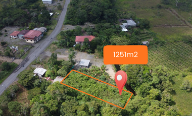 Terreno en Palora: 1.251 m² sobre Calle Principal