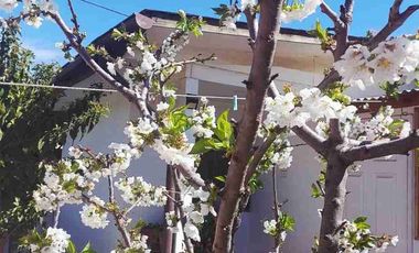Casa Hermosa Aislada,Los Marcos,Codegua.