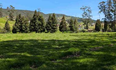 VENDO HERMOSO TERRENO PLANO