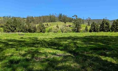 VENDO HERMOSO TERRENO PLANO