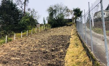 Venda de  terreno. Sector Paccha