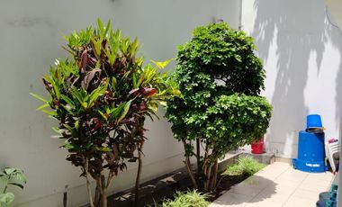 VENTA CASA EN LOS CEDROS DE VILLA CHORRILLOS