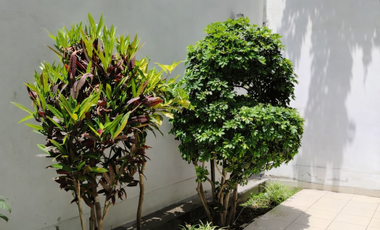 VENTA CASA EN LOS CEDROS DE VILLA CHORRILLOS