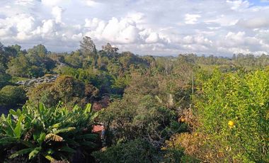 Excelente oportunidad para vivir o invertir