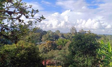 Excelente oportunidad para vivir o invertir