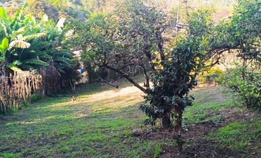 Excelente oportunidad para vivir o invertir