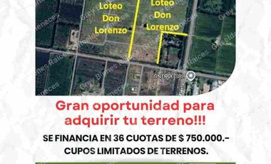 Terrenos en Venta. Allen.