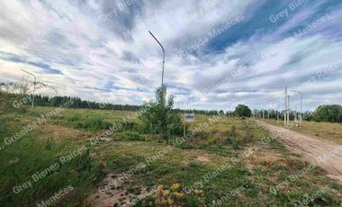 Terrenos en Venta. Allen.