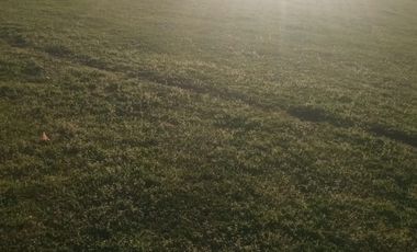 VENTA DE DOS  PARCELAS ,PANGUE ABAJO COMUNA SAN RAFAEL