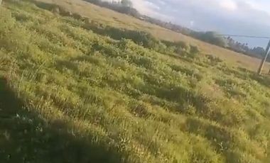 VENTA DE DOS  PARCELAS ,PANGUE ABAJO COMUNA SAN RAFAEL