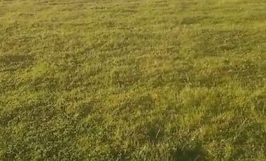 VENTA DE DOS  PARCELAS ,PANGUE ABAJO COMUNA SAN RAFAEL