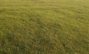 VENTA DE DOS  PARCELAS ,PANGUE ABAJO COMUNA SAN RAFAEL