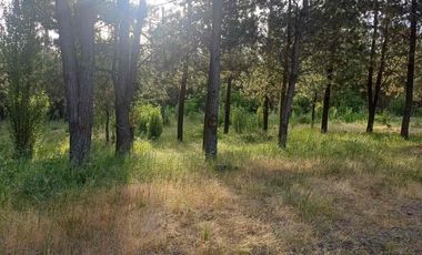 TERRENO AGRÍCOLA CON DOS CASAS 9.500 mt2 EN $80.000.000.-