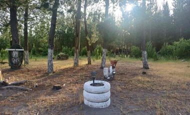 TERRENO AGRÍCOLA CON DOS CASAS 9.500 mt2 EN $80.000.000.-