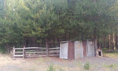 TERRENO AGRÍCOLA CON DOS CASAS 9.500 mt2 EN $80.000.000.-