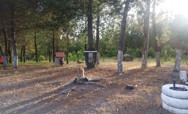 TERRENO AGRÍCOLA CON DOS CASAS 9.500 mt2 EN $80.000.000.-