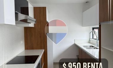 departamento en renta cumbaya