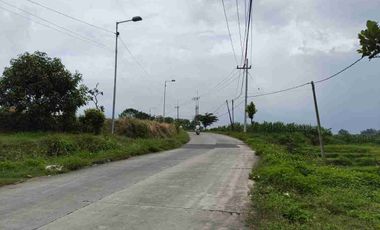 Dijual Lahan Sawah Cocok Untuk Perumahan Subsidi dan Gudang Daerah Tanjungkeningi Pacet Mojokerto