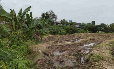 Dijual Lahan Sawah Cocok Untuk Perumahan Subsidi dan Gudang Daerah Tanjungkeningi Pacet Mojokerto