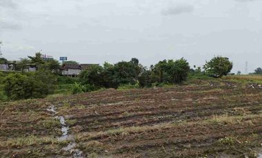 Dijual Lahan Sawah Cocok Untuk Perumahan Subsidi dan Gudang Daerah Tanjungkeningi Pacet Mojokerto