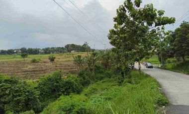 Dijual Lahan Sawah Cocok Untuk Perumahan Subsidi dan Gudang Daerah Tanjungkeningi Pacet Mojokerto