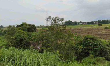 Dijual Lahan Sawah Cocok Untuk Perumahan Subsidi dan Gudang Daerah Tanjungkeningi Pacet Mojokerto