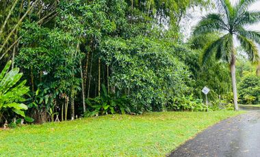 Extraordinario terreno en la entrada 4 de Cerritos con 1500 m2. Las Cascadas. Pereira.