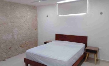 Casa Amueblada en Renta Col. Aleman