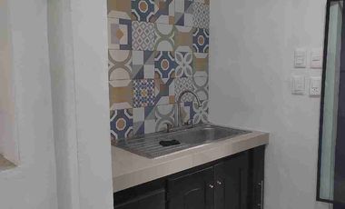 Casa Amueblada en Renta Col. Aleman