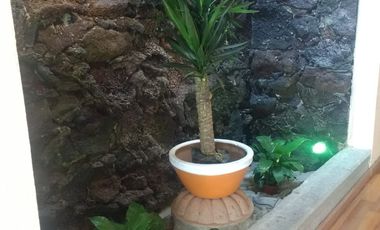 Casa en Renta | 4 Recámaras + Estudio | mas de 100 m2 de patio | $22,500