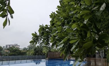 Dijual Cepat Apartemen Serpong Greenview Lantai 6