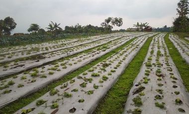 10 Ha Tanah Strategis Komersil,  Pinggir Mainroad Kolonel Masturi, Bandung Barat