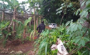 10 Ha Tanah Strategis Komersil,  Pinggir Mainroad Kolonel Masturi, Bandung Barat
