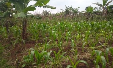 10 Ha Tanah Strategis Komersil,  Pinggir Mainroad Kolonel Masturi, Bandung Barat