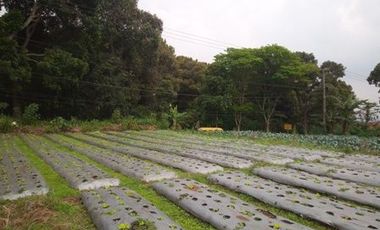 10 Ha Tanah Strategis Komersil,  Pinggir Mainroad Kolonel Masturi, Bandung Barat