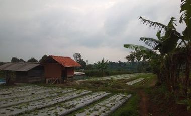 10 Ha Tanah Strategis Komersil,  Pinggir Mainroad Kolonel Masturi, Bandung Barat