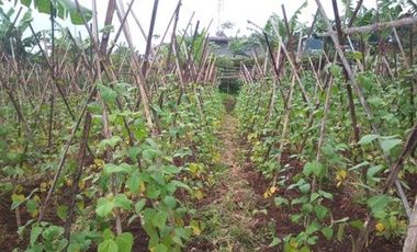 10 Ha Tanah Strategis Komersil,  Pinggir Mainroad Kolonel Masturi, Bandung Barat