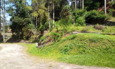 14 Ha Tanah eks Cottage Dekat Jalan Tangkuban Perahu, Cibogo, Lembang, Bandung Barat. Prop. Jawa Barat