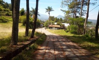 14 Ha Tanah eks Cottage Dekat Jalan Tangkuban Perahu, Cibogo, Lembang, Bandung Barat. Prop. Jawa Barat