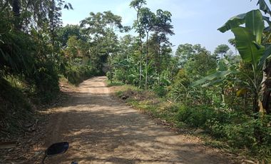 22 Ha Tanah Kebun di Sumur Bandung, Cipatat, Bandung Barat