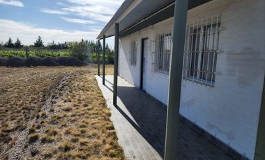 Vendo emprendimiento productivo o turistico en Doradillo,casa,quinta,galpon y viñedo boutique