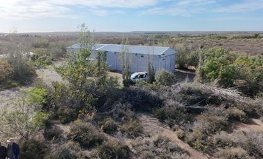 Vendo emprendimiento productivo o turistico en Doradillo,casa,quinta,galpon y viñedo boutique