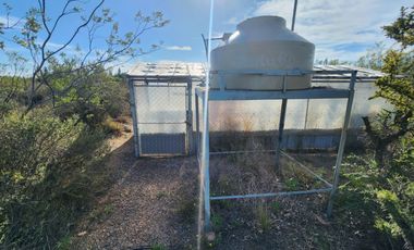 Vendo emprendimiento productivo o turistico en Doradillo,casa,quinta,galpon y viñedo boutique