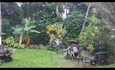 RENTA DE CASA CAMPESTRE EN ARMENIA NORTE