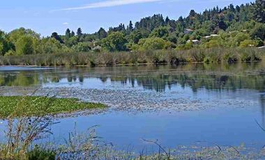 Se vende parcela en Quillón orilla de Laguna Avendaño